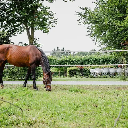 House In Leenderstrijp Near Leenderbos Trails *