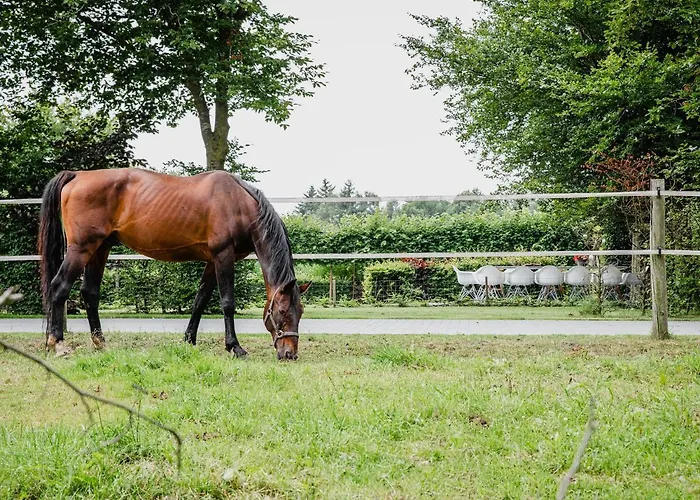 House In Leenderstrijp Near Leenderbos Trails *