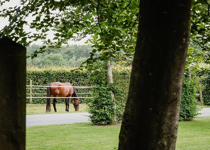 بيت للعطل House In Leenderstrijp Near Leenderbos Trails Leende