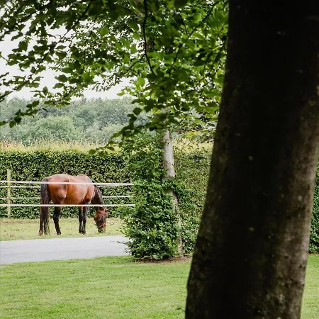 度假居 House In Leenderstrijp Near Leenderbos Trails 伦德
